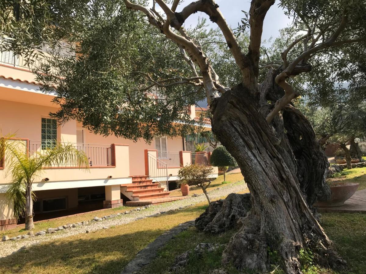 B&B Villa Degli Ulivi Praia a Mare Exterior photo