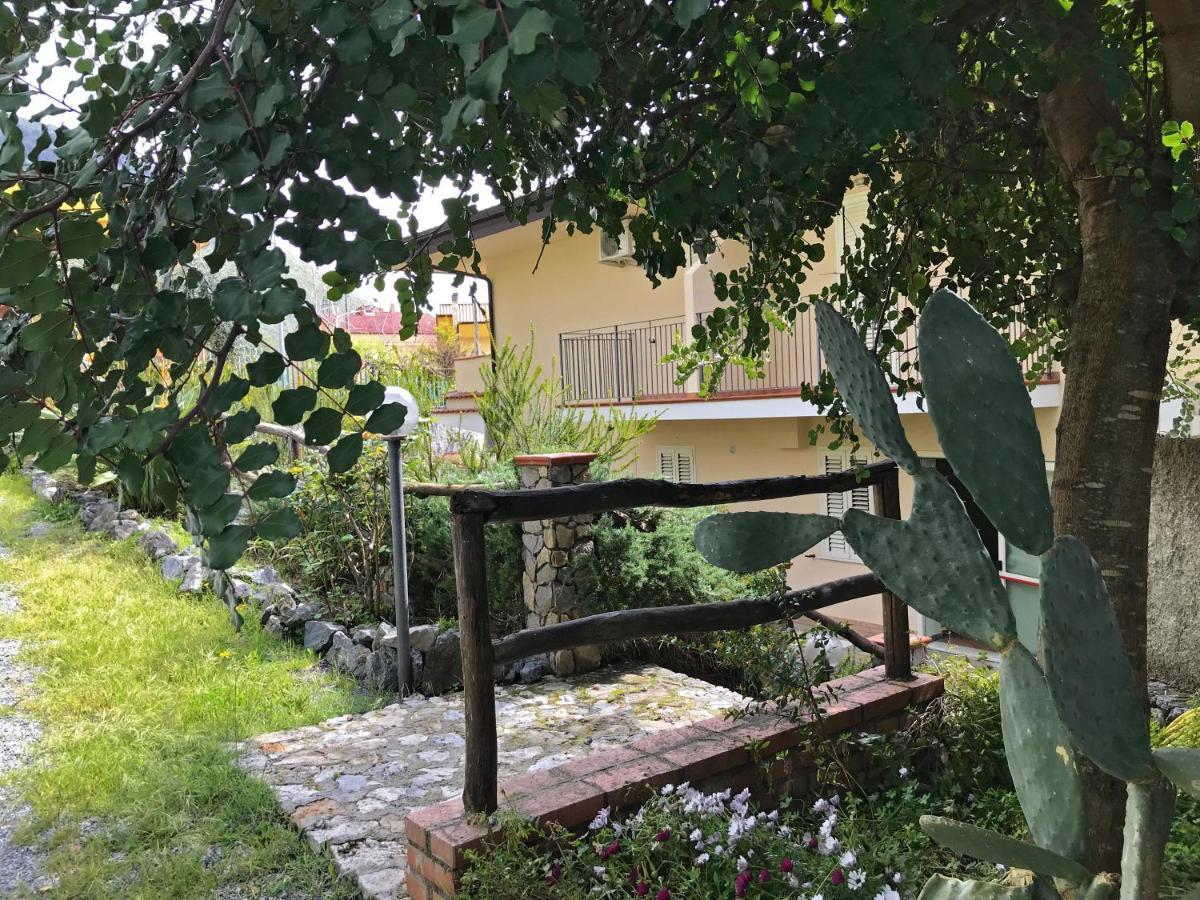 B&B Villa Degli Ulivi Praia a Mare Exterior photo