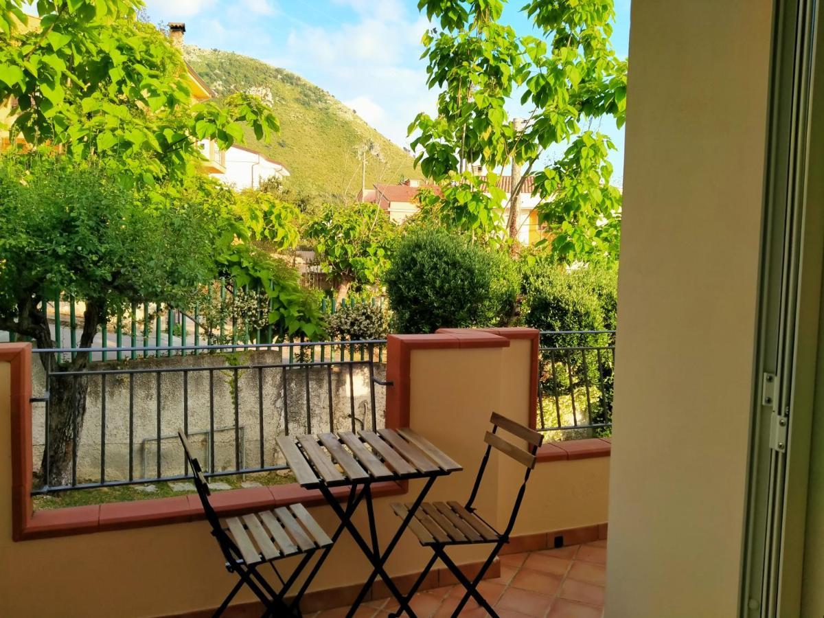 B&B Villa Degli Ulivi Praia a Mare Exterior photo